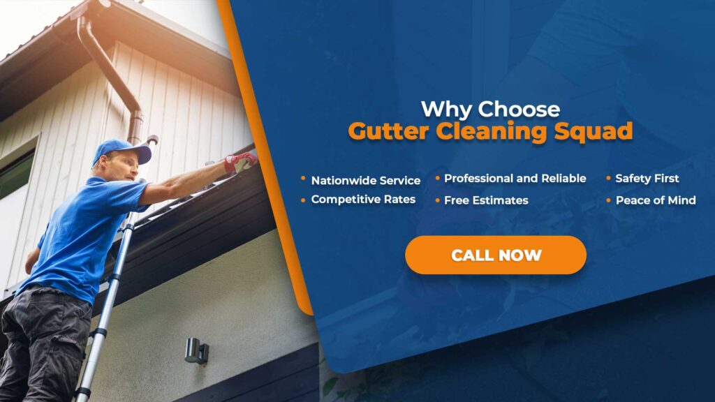 Gutter Cleaning in Tallahassee FL